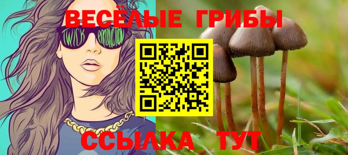 Псилоцибиновые грибы Magic Shrooms  Вход с VPN  Галлюциногенные грибы мицелий  Медногорск 